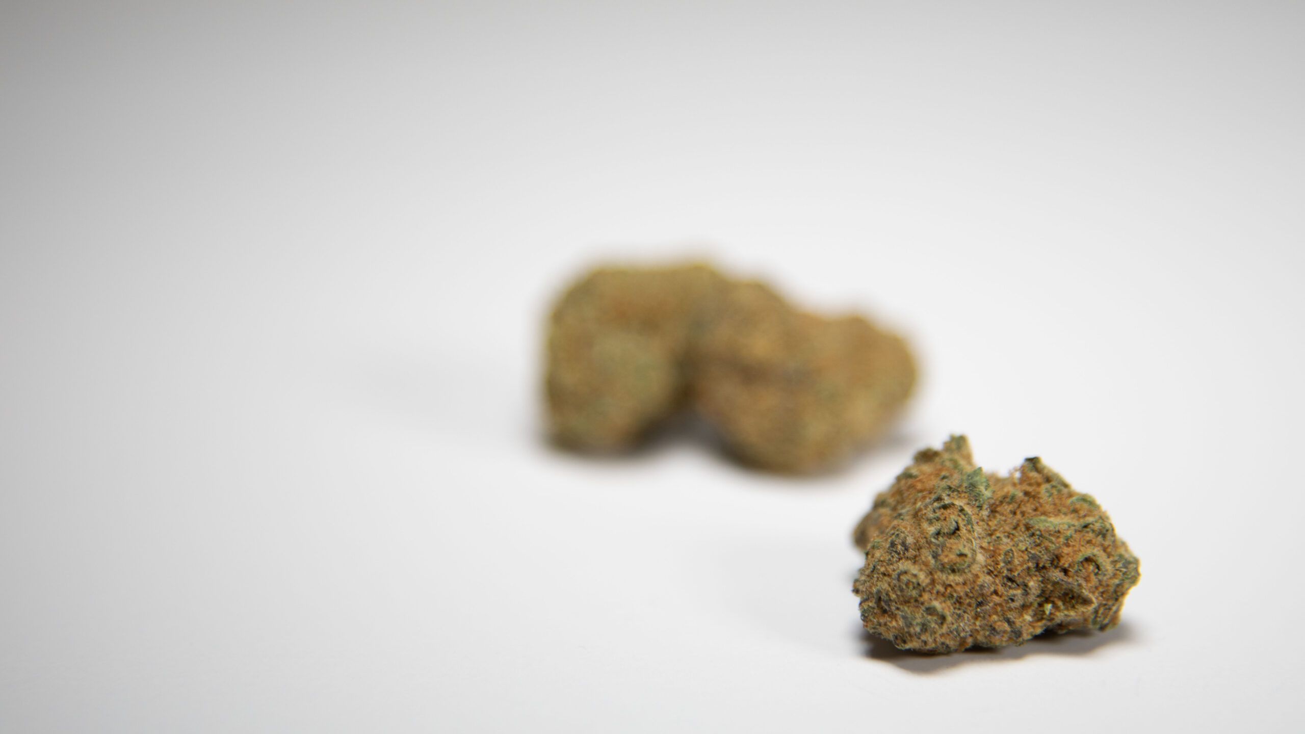 Las Vegas Triangle Kush: The Local Legend of Sin City Bud